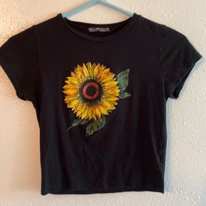 Rock rose couture sunflower crop